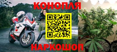 прущая мука Кимры
