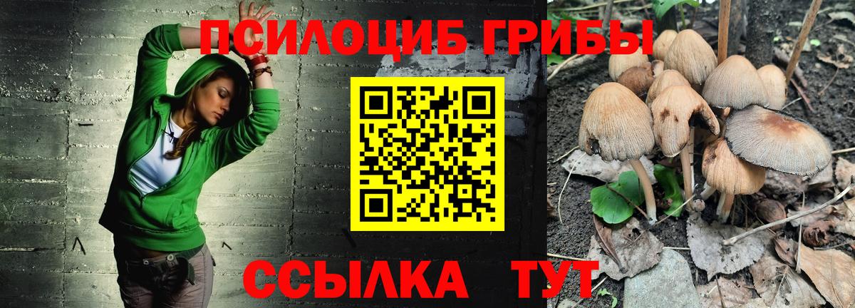 Галлюциногенные грибы Cubensis Барабинск